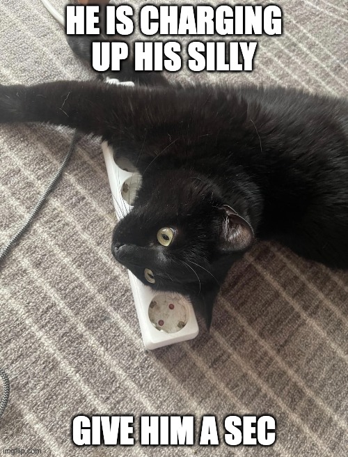 he is charging up his silly | HE IS CHARGING UP HIS SILLY; GIVE HIM A SEC | image tagged in cat,silly | made w/ Imgflip meme maker