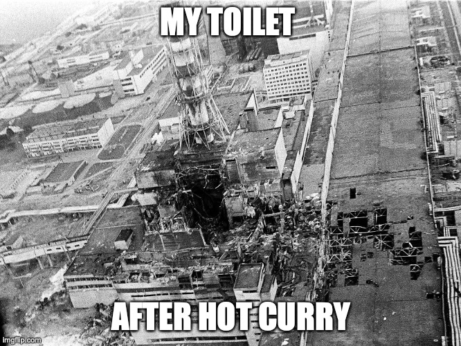 Hot curry digestive after-effects | MY TOILET; AFTER HOT CURRY | image tagged in funny,funny memes,dank | made w/ Imgflip meme maker