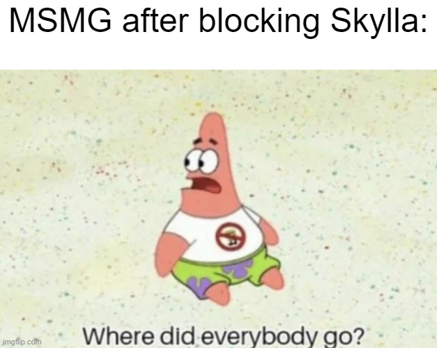 Where did everybody go | MSMG after blocking Skylla: | image tagged in where did everybody go | made w/ Imgflip meme maker