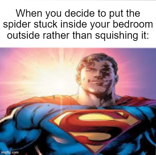 Superman starman meme | When you decide to put the spider stuck inside your bedroom outside rather than squishing it: | image tagged in superman starman meme | made w/ Imgflip meme maker