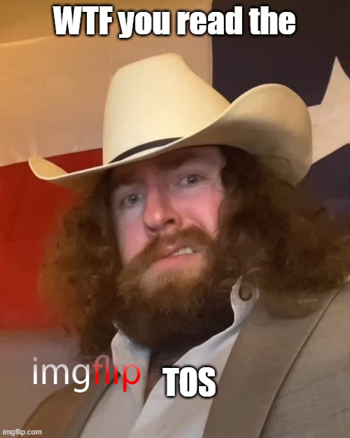 fixed one of the posts in crusader_stream | WTF you read the; TOS | image tagged in wtf | made w/ Imgflip meme maker