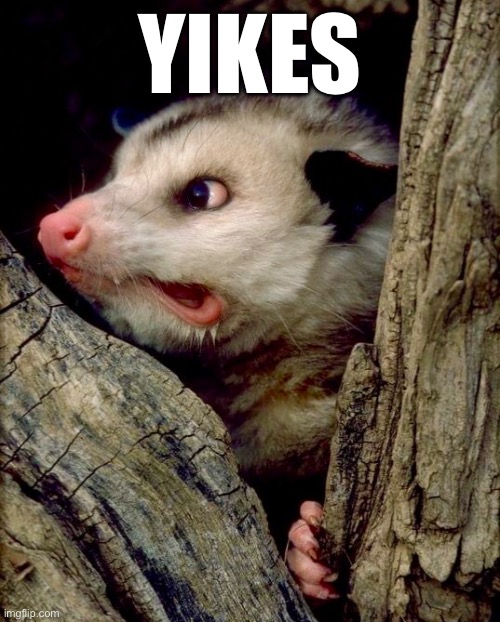 O-yikes-some | YIKES | image tagged in possum,yikes,wildlife,scared,shocked | made w/ Imgflip meme maker