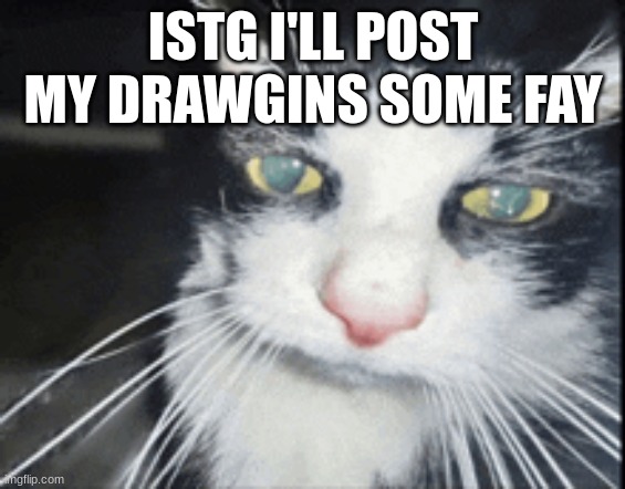 procrastination: | ISTG I'LL POST MY DRAWGINS SOME FAY | image tagged in high cat | made w/ Imgflip meme maker