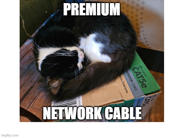 sleepy network cat | PREMIUM; NETWORK CABLE | image tagged in sleepy network cat | made w/ Imgflip meme maker