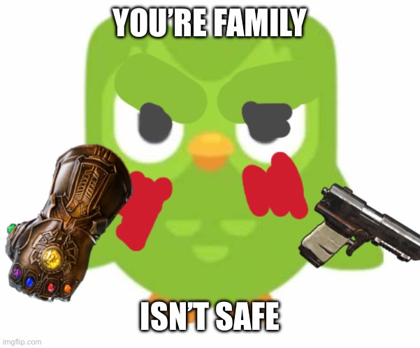 Duolingo ready to kill | YOU’RE FAMILY; ISN’T SAFE | image tagged in duolingo ready to kill | made w/ Imgflip meme maker
