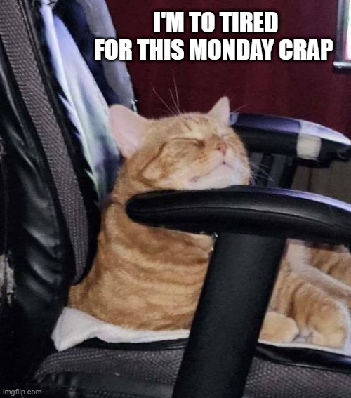 hate Monday | I'M TO TIRED FOR THIS MONDAY CRAP | image tagged in hate,monday,lazy | made w/ Imgflip meme maker