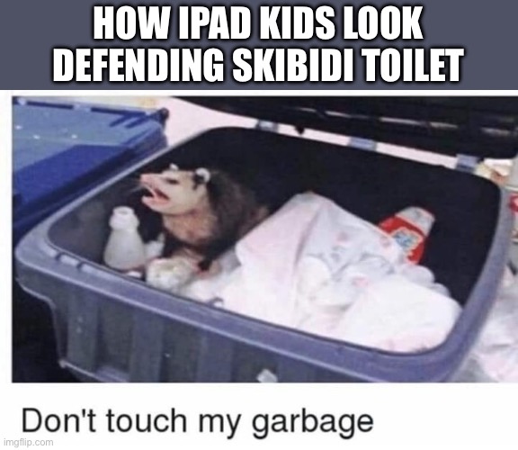 Don’t touch my garbage | HOW IPAD KIDS LOOK DEFENDING SKIBIDI TOILET | image tagged in oh wow are you actually reading these tags | made w/ Imgflip meme maker