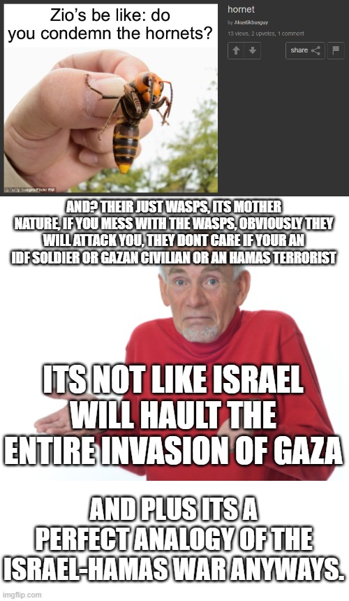 I swear, their making such a big deal out of this, their acting as if Iran attacked Israel again. | AND? THEIR JUST WASPS, ITS MOTHER NATURE, IF YOU MESS WITH THE WASPS, OBVIOUSLY THEY WILL ATTACK YOU, THEY DONT CARE IF YOUR AN IDF SOLDIER OR GAZAN CIVILIAN OR AN HAMAS TERRORIST; ITS NOT LIKE ISRAEL WILL HAULT THE ENTIRE INVASION OF GAZA; AND PLUS ITS A PERFECT ANALOGY OF THE ISRAEL-HAMAS WAR ANYWAYS. | image tagged in guess i'll die,israel,wasp | made w/ Imgflip meme maker