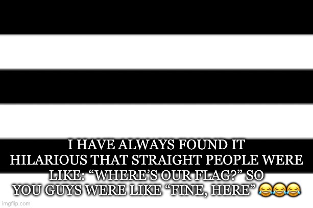 I have a better flag, being an ally ☺️ | I HAVE ALWAYS FOUND IT HILARIOUS THAT STRAIGHT PEOPLE WERE LIKE: “WHERE’S OUR FLAG?” SO YOU GUYS WERE LIKE “FINE, HERE” 😂😂😂 | made w/ Imgflip meme maker