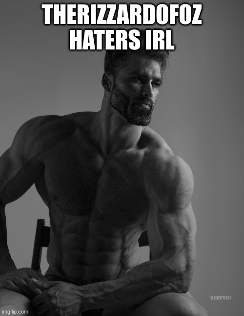 Giga Chad | THERIZZARDOFOZ HATERS IRL | image tagged in giga chad | made w/ Imgflip meme maker