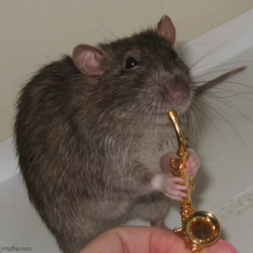 Saxo-Rat, the Sewage Musician and Master of Poisonous Songs | made w/ Imgflip meme maker