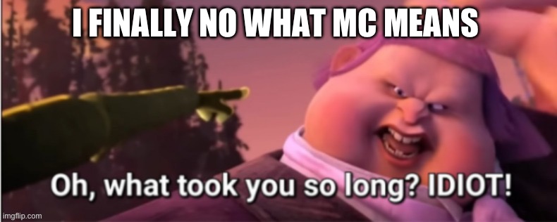 Oh, what took you so long? Idiot! | I FINALLY NO WHAT MC MEANS | image tagged in oh what took you so long idiot | made w/ Imgflip meme maker