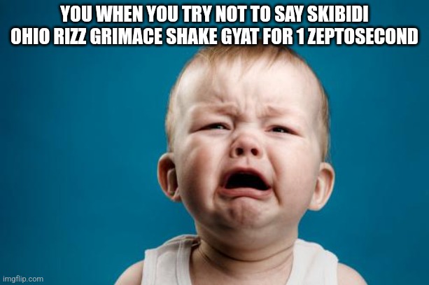crybaby | YOU WHEN YOU TRY NOT TO SAY SKIBIDI OHIO RIZZ GRIMACE SHAKE GYAT FOR 1 ZEPTOSECOND | image tagged in crybaby | made w/ Imgflip meme maker
