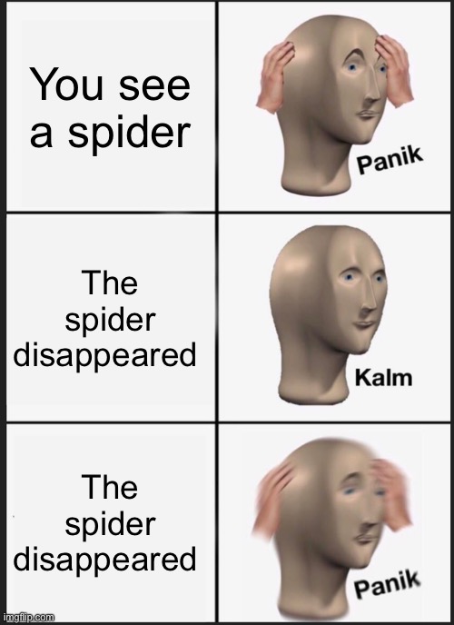 Spider | You see a spider; The spider disappeared; The spider disappeared | image tagged in memes,panik kalm panik,spider | made w/ Imgflip meme maker