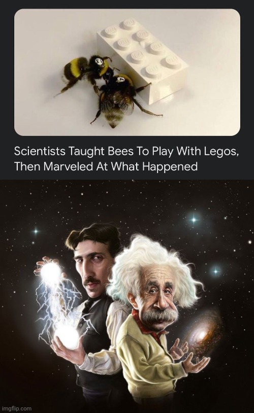 Lego bees | image tagged in nikola tesla albert einstein,memes,science,bees,legos,lego | made w/ Imgflip meme maker