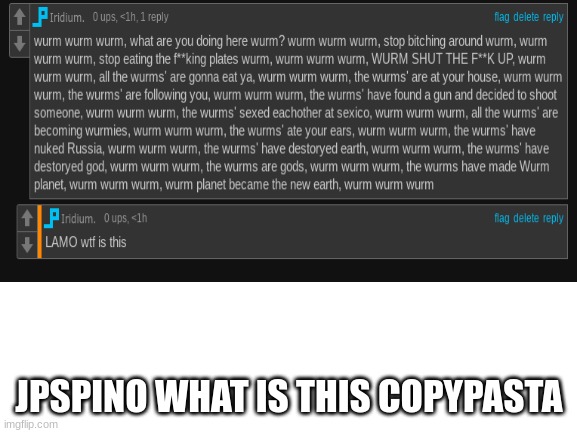 LOL | JPSPINO WHAT IS THIS COPYPASTA | image tagged in blank white template | made w/ Imgflip meme maker