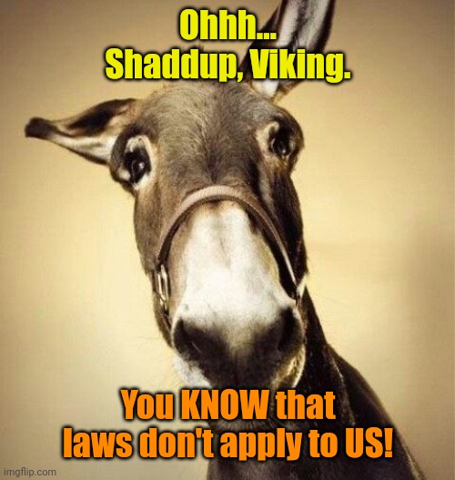 Mule | Ohhh... Shaddup, Viking. You KNOW that laws don't apply to US! | image tagged in mule | made w/ Imgflip meme maker