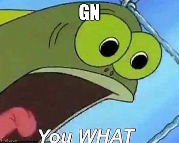 YOU WHAT | GN | image tagged in you what | made w/ Imgflip meme maker