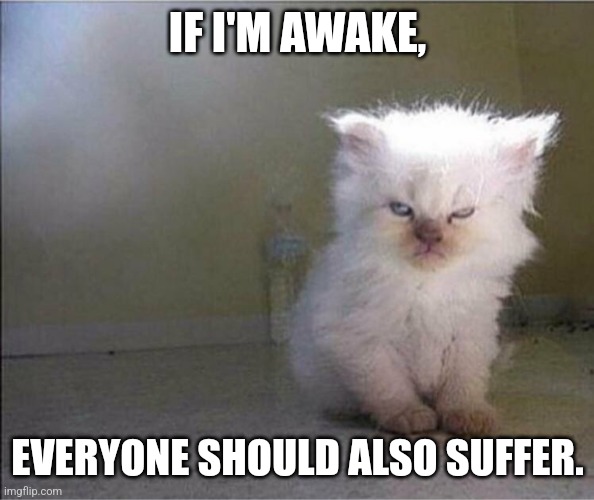 Awake | IF I'M AWAKE, EVERYONE SHOULD ALSO SUFFER. | image tagged in mad cat | made w/ Imgflip meme maker