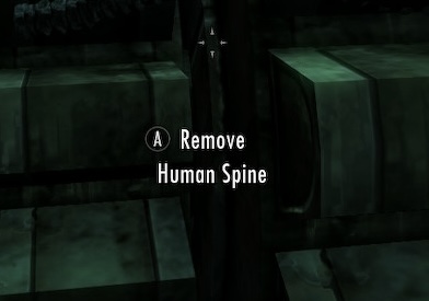 Skyrim remove human spine Blank Meme Template
