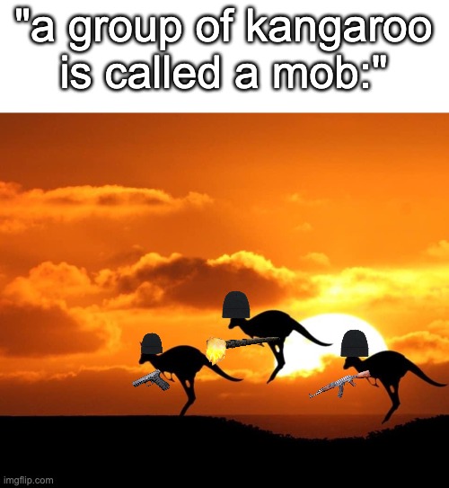 "ok jimmy, you work with the mob" | "a group of kangaroo is called a mob:" | image tagged in kangaroo sunset,welp | made w/ Imgflip meme maker