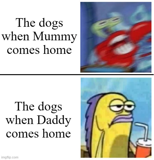 Excited vs Bored | The dogs when Mummy comes home; The dogs when Daddy comes home | image tagged in excited vs bored,dogs | made w/ Imgflip meme maker