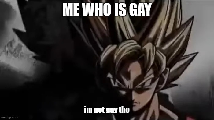 Goku Staring | ME WHO IS GAY im not gay tho | image tagged in goku staring | made w/ Imgflip meme maker