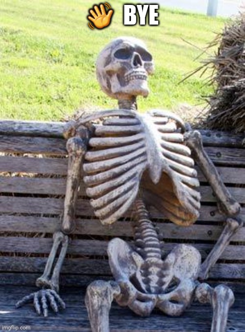 Waiting Skeleton | 👋  BYE | image tagged in memes,waiting skeleton | made w/ Imgflip meme maker