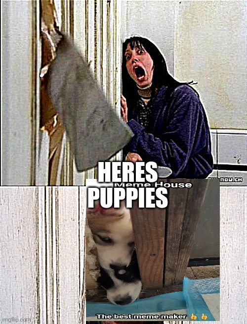 Puppies | HERES PUPPIES | image tagged in hashtagpuppies | made w/ Imgflip meme maker