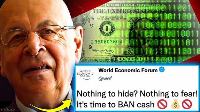 '100% Digital': WEF Orders Govt's To Outlaw Cash For 'Non-Licensed Individuals'? (Video) 