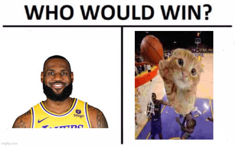 baskemtball | image tagged in memes,who would win | made w/ Imgflip meme maker