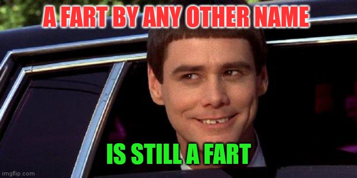 Fart | A FART BY ANY OTHER NAME; IS STILL A FART | image tagged in dumb and dumber,funny memes | made w/ Imgflip meme maker