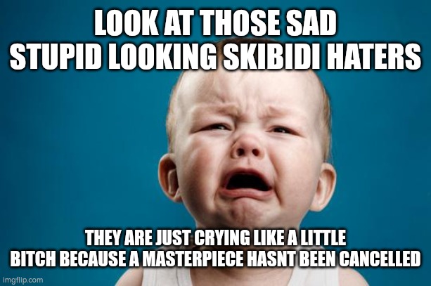 BABY CRYING | LOOK AT THOSE SAD STUPID LOOKING SKIBIDI HATERS; THEY ARE JUST CRYING LIKE A LITTLE BITCH BECAUSE A MASTERPIECE HASNT BEEN CANCELLED | image tagged in baby crying | made w/ Imgflip meme maker
