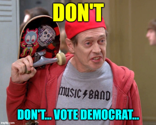 Steve Buscemi Fellow Kids | DON'T DON'T... VOTE DEMOCRAT... | image tagged in steve buscemi fellow kids | made w/ Imgflip meme maker