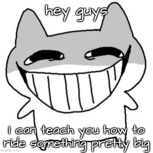 hihi | hey guys; I can teach you how to ride something pretty big | image tagged in hihi | made w/ Imgflip meme maker