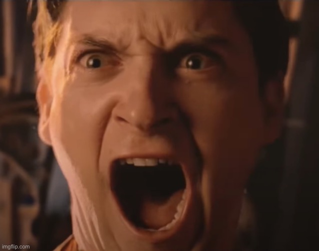 Toby Maguire Scream | image tagged in toby maguire scream | made w/ Imgflip meme maker