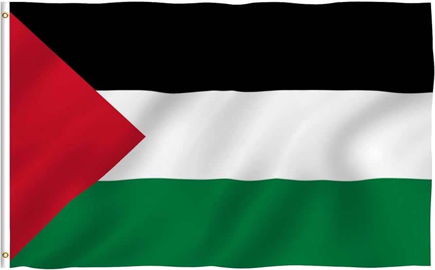 Palestinian Flag Blank Meme Template