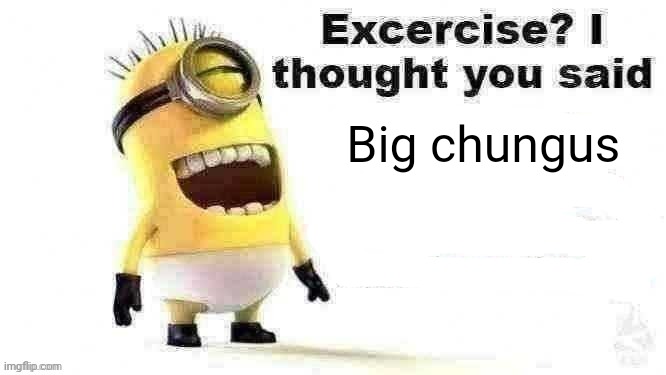 Big chungus | Big chungus | image tagged in excercise i thought you said | made w/ Imgflip meme maker