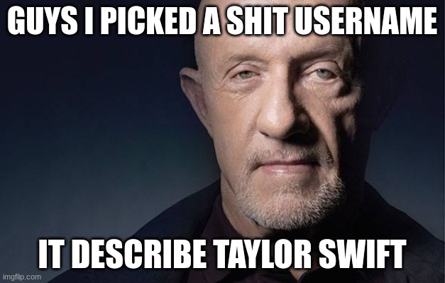 Kid Named | GUYS I PICKED A SHIT USERNAME; IT DESCRIBE TAYLOR SWIFT | image tagged in finger | made w/ Imgflip meme maker