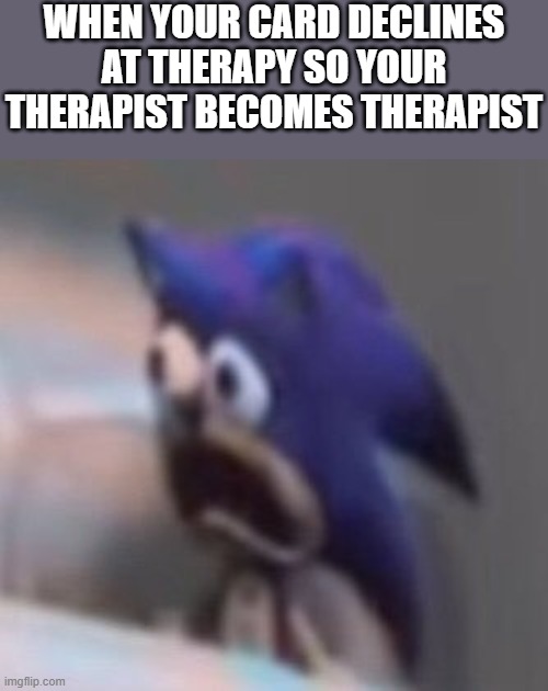 Traumatised Sonic | WHEN YOUR CARD DECLINES AT THERAPY SO YOUR THERAPIST BECOMES THERAPIST | image tagged in traumatised sonic | made w/ Imgflip meme maker