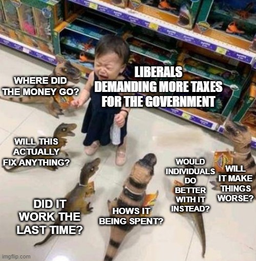 Overwhelmed girl | LIBERALS DEMANDING MORE TAXES FOR THE GOVERNMENT; WHERE DID THE MONEY GO? WOULD INDIVIDUALS DO BETTER WITH IT INSTEAD? WILL THIS ACTUALLY FIX ANYTHING? WILL IT MAKE THINGS WORSE? HOWS IT BEING SPENT? DID IT WORK THE LAST TIME? | image tagged in overwhelmed girl | made w/ Imgflip meme maker