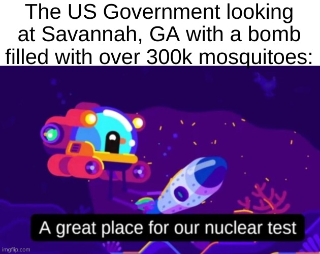 real, look it up | The US Government looking at Savannah, GA with a bomb filled with over 300k mosquitoes: | image tagged in a great place for our nuclear test,nuke,mosquito,mosquitoes,georgia,usa | made w/ Imgflip meme maker