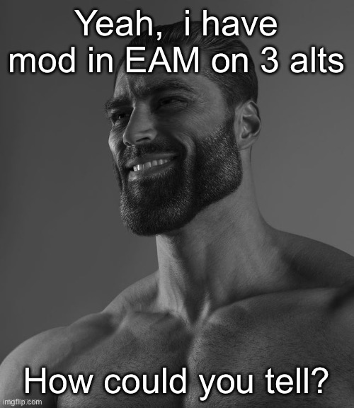 Giga Chad | Yeah,  i have mod in EAM on 3 alts; How could you tell? | image tagged in giga chad | made w/ Imgflip meme maker