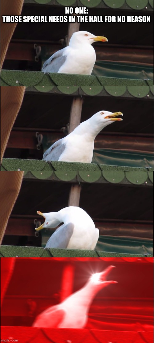bro they sounded like they were dying | NO ONE:
THOSE SPECIAL NEEDS IN THE HALL FOR NO REASON | image tagged in memes,inhaling seagull,certified bruh moment,autism | made w/ Imgflip meme maker