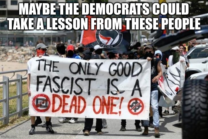 How long will we have to put up with them? | MAYBE THE DEMOCRATS COULD TAKE A LESSON FROM THESE PEOPLE | image tagged in antifa - dead fascists,democrats | made w/ Imgflip meme maker