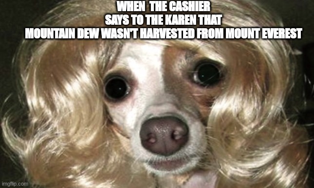 Do YoU KnOw HoW bAd ThIs Is?????? (credit to my bestie) | WHEN  THE CASHIER SAYS TO THE KAREN THAT MOUNTAIN DEW WASN'T HARVESTED FROM MOUNT EVEREST | image tagged in karen,doge | made w/ Imgflip meme maker