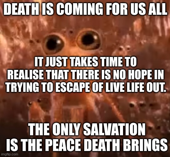 ... (rhok-zan note: we may hate you but….you also gave us a purpose) | DEATH IS COMING FOR US ALL; IT JUST TAKES TIME TO REALISE THAT THERE IS NO HOPE IN TRYING TO ESCAPE OF LIVE LIFE OUT. THE ONLY SALVATION IS THE PEACE DEATH BRINGS | image tagged in dont-kys | made w/ Imgflip meme maker