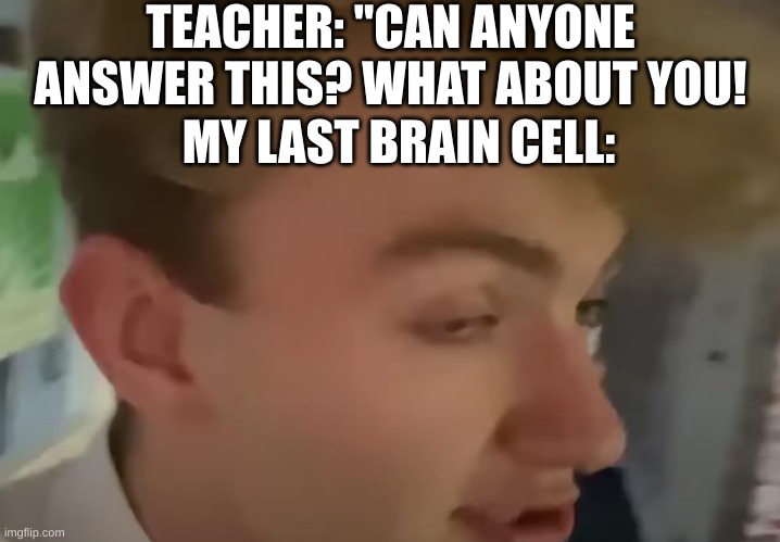 TEACHER: "CAN ANYONE ANSWER THIS? WHAT ABOUT YOU! MY LAST BRAIN CELL: | image tagged in memes,funny,kinda,tommyinnit | made w/ Imgflip meme maker