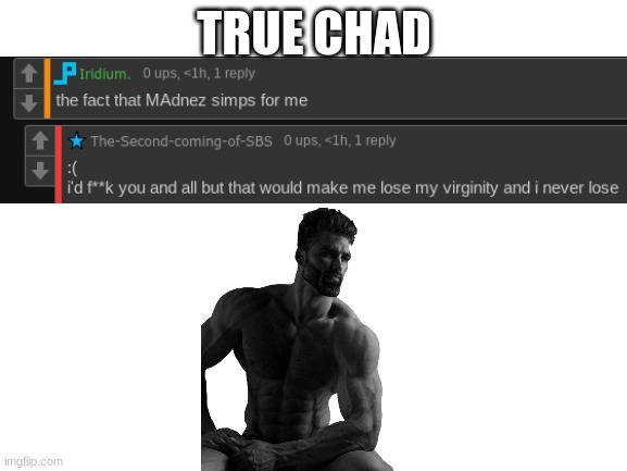 true chad *sigma theme intensifies* | TRUE CHAD | image tagged in blank white template | made w/ Imgflip meme maker