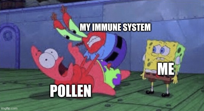 Average Spring time experience | MY IMMUNE SYSTEM; ME; POLLEN | image tagged in mr krabs choking patrick | made w/ Imgflip meme maker